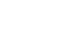 The Morning Show